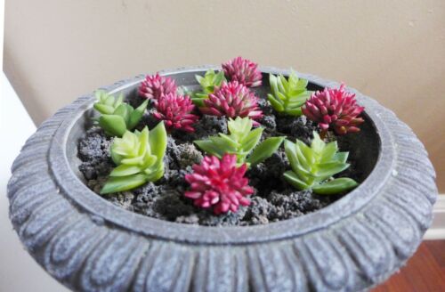 Artificial Grass Miniature Succulents Plants Red Autumn Lotus Stone 12 Pcs (M24) - Picture 2 of 3