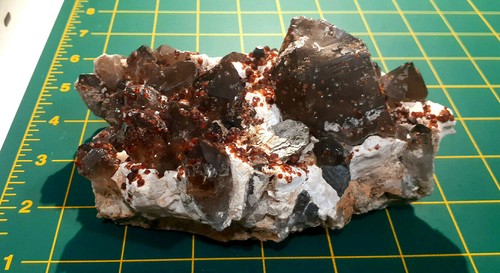 SPECTACULAR! Smoky Quartz w/Spessartine Garnets & Mica on Microcline Mtx.- China - Picture 5 of 12