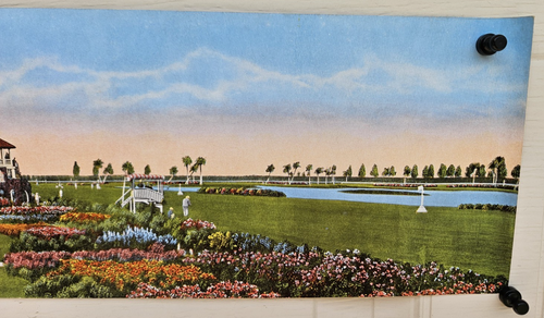 Miami Jockey Club Hialeah Park Miami Florida FL stampa panoramica E.C. Kropp - Foto 6 di 10