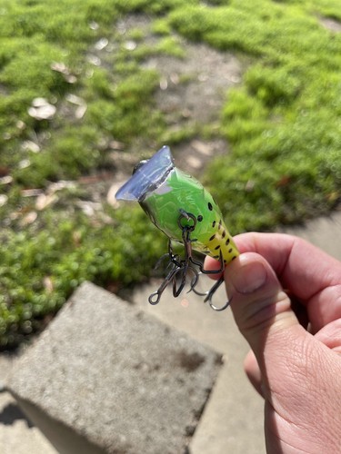 Custom Painted Crankbait 2.5 Squarebill Silent Toxic Frog Blemish - Picture 5 of 7