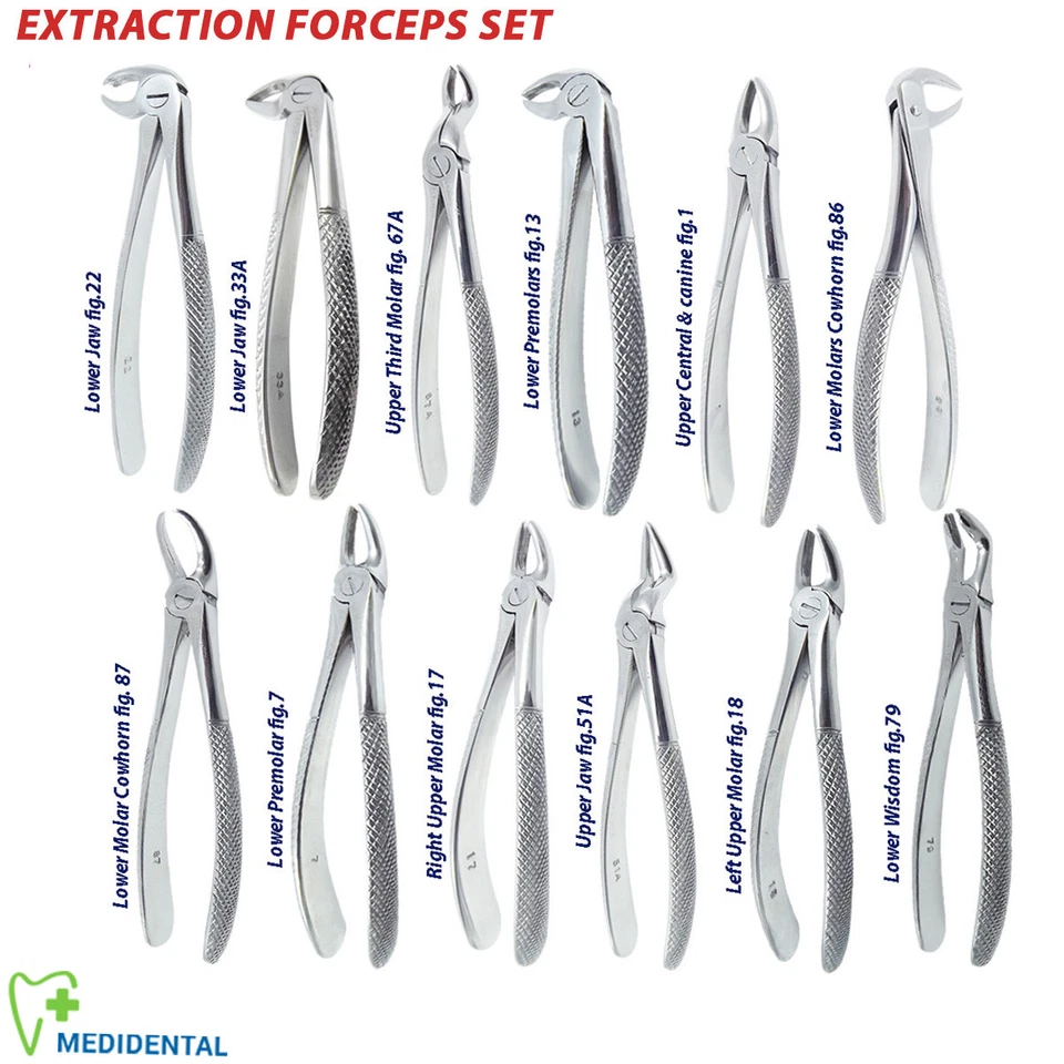 TK PLUS Surgical Dental Extraction Forceps For Tooth Extract Lower, Upper Roots Anterior