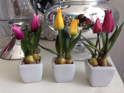 In Black// White Pots Mini 3 X Hyacinth Artificial Plants /& flowers Pot Plant