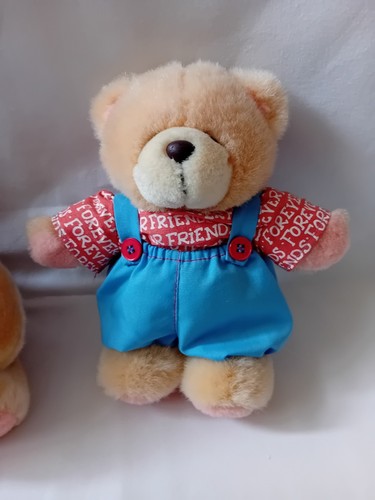 Andrew Brownsword 2X FOREVER FRIENDS Osos de Peluche 8" Corazón Para Ti 7" peto  - Imagen 2 de 11