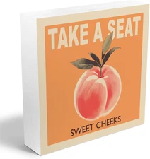 Funny Bathroom Decor Wooden Box Sign, Restroom Decor Peach Check Country Wooden 