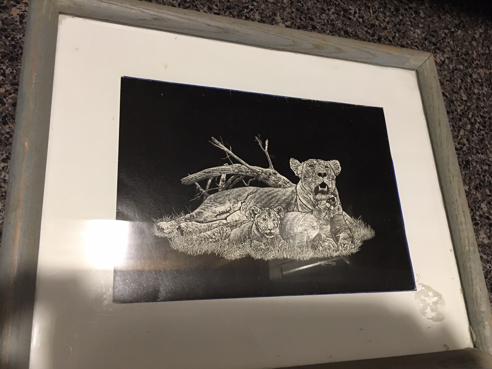 Picture 1 of 5