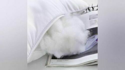 Hollowfibre Virgin Polyester Filling Soft Stuffing Toy Teddy Bear Cushion Pillow - 第 27/91 張圖片