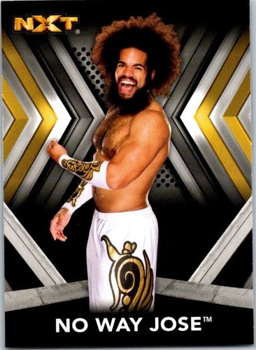 2017 TOPPS WWE NXT CARD PICK CHOOSE YOUR CARDS - Picture 17 of 43