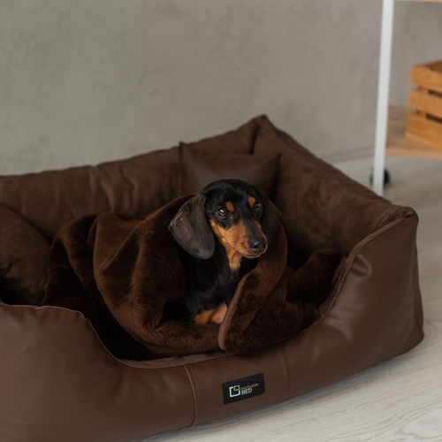 Hundebett Eden Ökoleder + Alcantara-Stoff orthopädisch Komfort 4 Größen 7 Farben - Bild 9 von 57