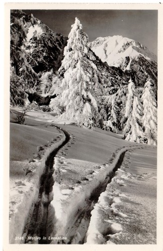 RPPC Motivo in Leventina Switzerland Postcard Nature Forest Snow Unposted - Picture 1 of 2