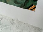 Bild 11 von 24