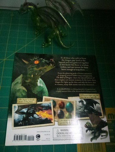 FOREST DRAGON FANTASY TOY FIGURE By Safari LTD 2010 (Green Wings) + DRAGON BOOK! - Picture 12 of 12