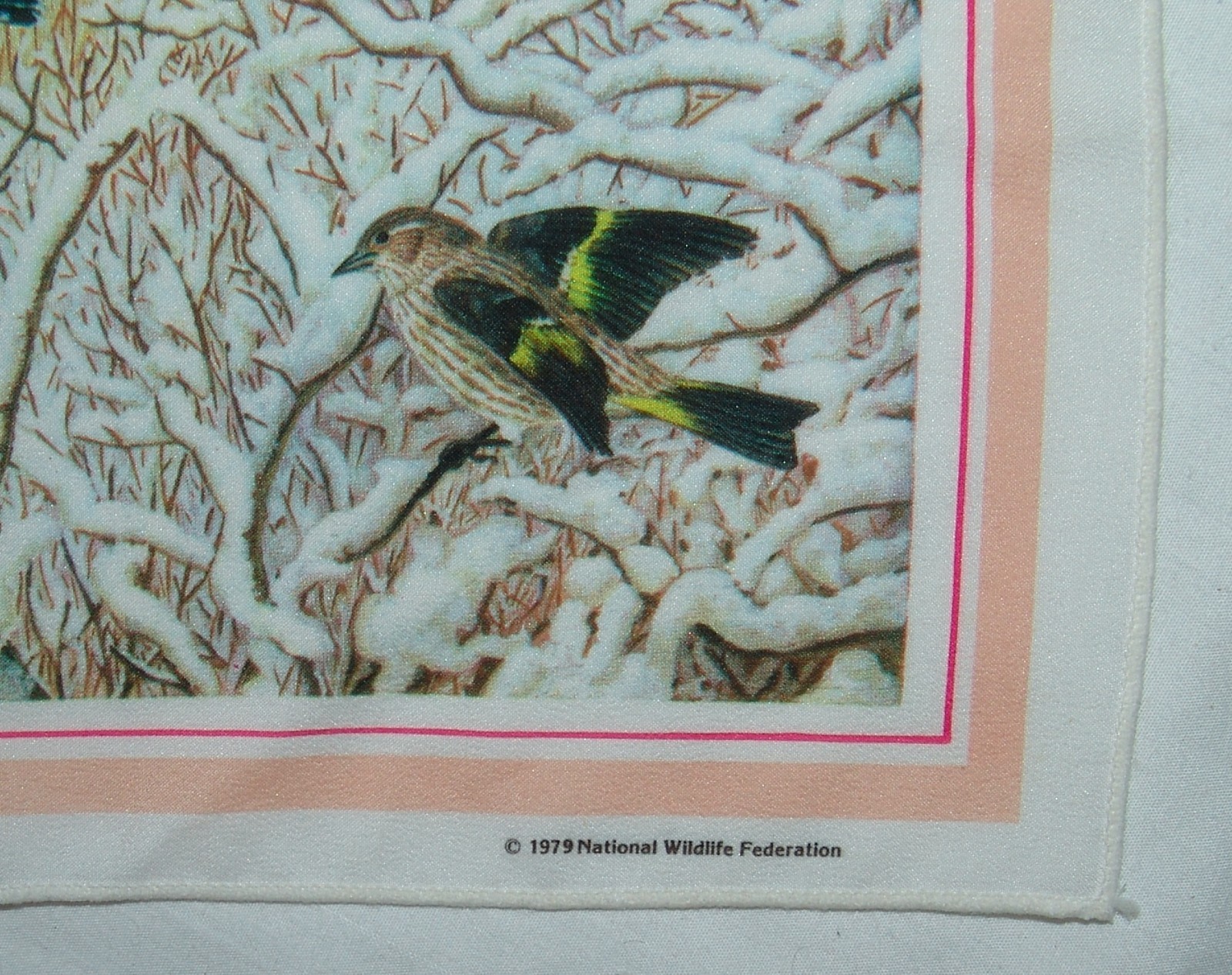 Picture 3 of 4