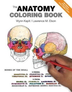 The Anatomy Coloring Book By Lawrence M Elson And Wynn Kapit Paperback 4th Edition 2013