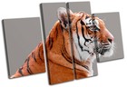 Tiger Wildlife Animals MULTI CANVAS WALL ART Picture Print VA