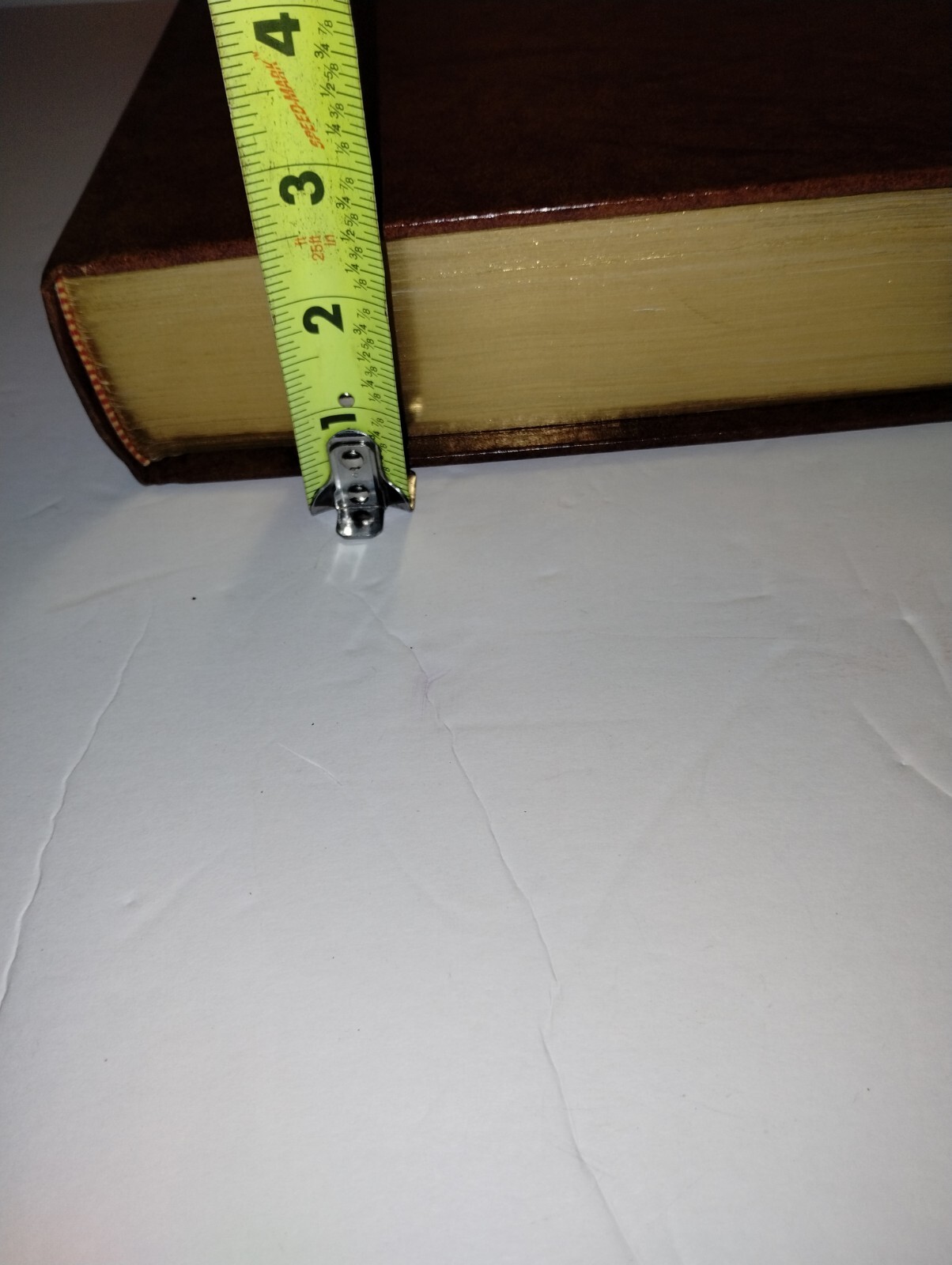 Picture 16 of 16