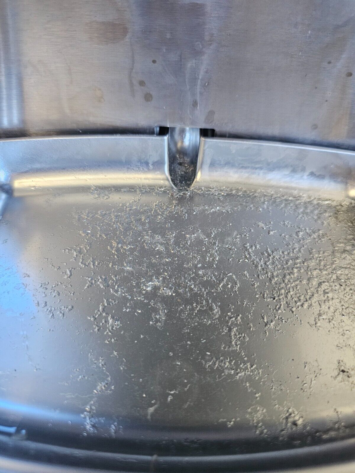 Picture 12 of 24