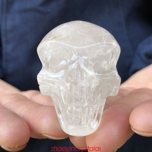 0.35LB Natural Smokey Quartz Aliens Skull Quartz Crystal Hand Carved XK530-05-A - Imagen 2 de 10
