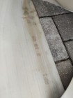 Bild 9 von 13