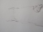 Bild 9 von 19