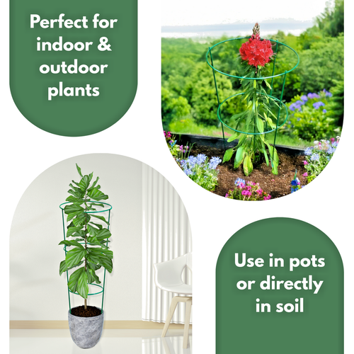 Conical Garden Plant Support 5pc Set Metal Adjustable Trellis Climbing Ring Cage - 第 8/24 張圖片