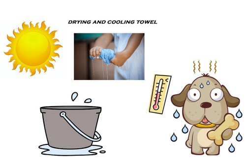 High Absorbency Blue Cooling and Drying Towels for Dogs 34.5 inch x 19.5 inch - Picture 60 of 77