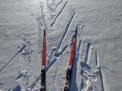 Adult & Kids Waxless Skis NNN Bindings by Rottefella Cross Country XC Nordic - Picture 15 of 75