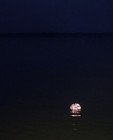 Bild 8 von 9