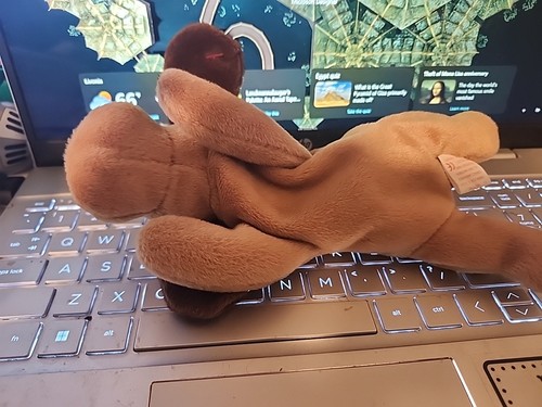 Ty Beanie Babies Bones Il Cane - Foto 2 di 4