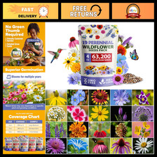 Bulk Wildflower Seeds 4 oz - 63,200+ Non-GMO Perennial Mix for Butterflies & Pol 122.36 per gallon