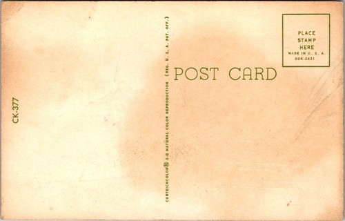 Greetings from ARKANSAS Land of Beauty SUNSET multi view Postcard - Picture 2 of 2