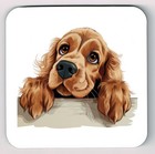 Peeking Peeping English Cocker Spaniel Image Coaster, Cocker Spaniel Coaster