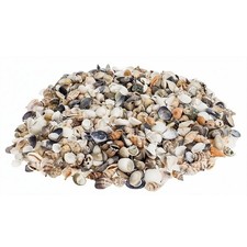 Muschelmix Small 1kg naturbelassen Deko Muscheln Schnecken ca 200&ndash;300 Stk