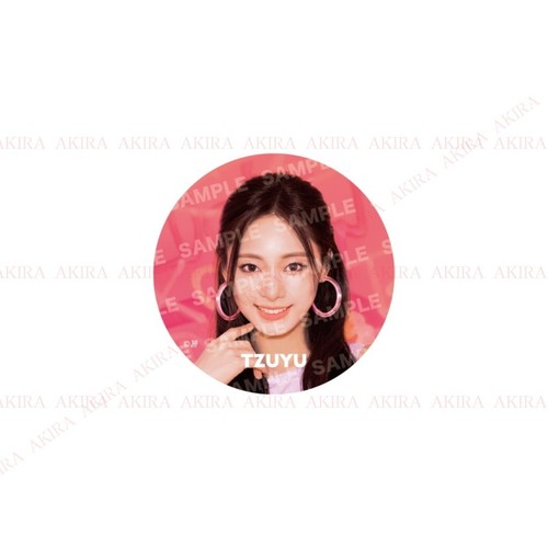 PSL TWICE THIS IS FOR WORLD TOUR IN JAPAN OFFICIAL GOODS - Picture 70 of 238