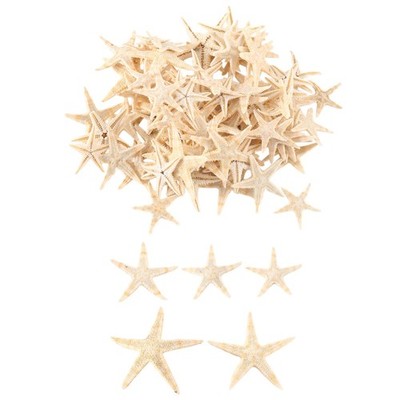 Kleiner Seestern Stern Meer Strand Handwerk 0,4 Zoll - 1,2 Zoll 90 Stück F4U44447