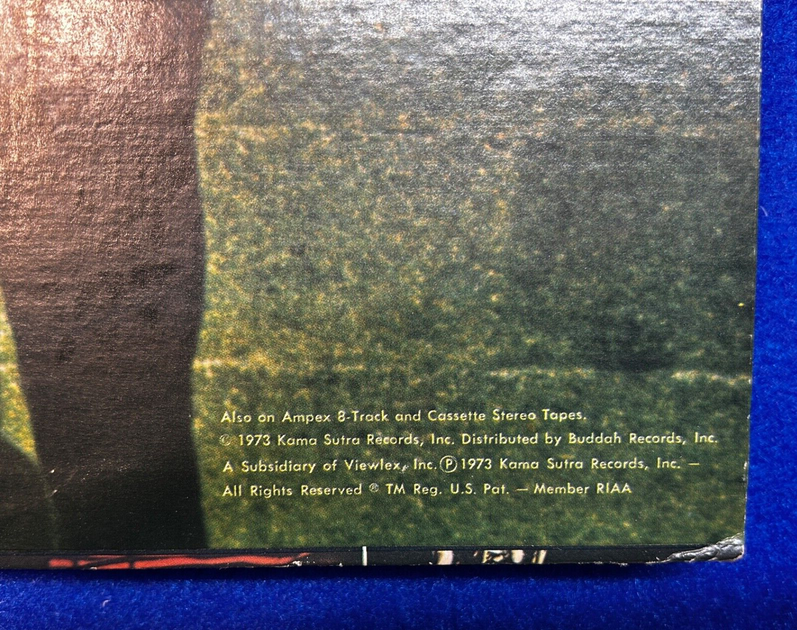 Picture 18 of 18