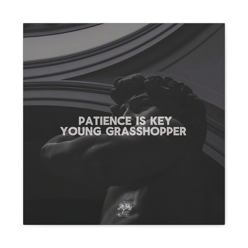 Patience Is Key Motivational Quote Inspirational Canvas Office Wall Art Decor - Picture 18 of 25