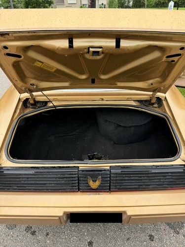 1981 Pontiac Turbo Trans Am - Picture 6 of 11