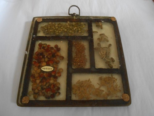Gamut Designs Lucite Trivet Wall Plaque Dried Seeds 1960-70’s Kitchen Decor - Picture 2 of 4