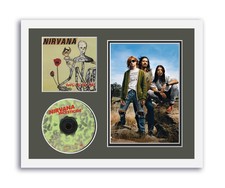 Nirvana Insecticide Custom Framed CD Decor Photo Display Nirvana Insecticide Custom Framed CD Decor Photo Display