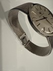 Foto 24 di 24