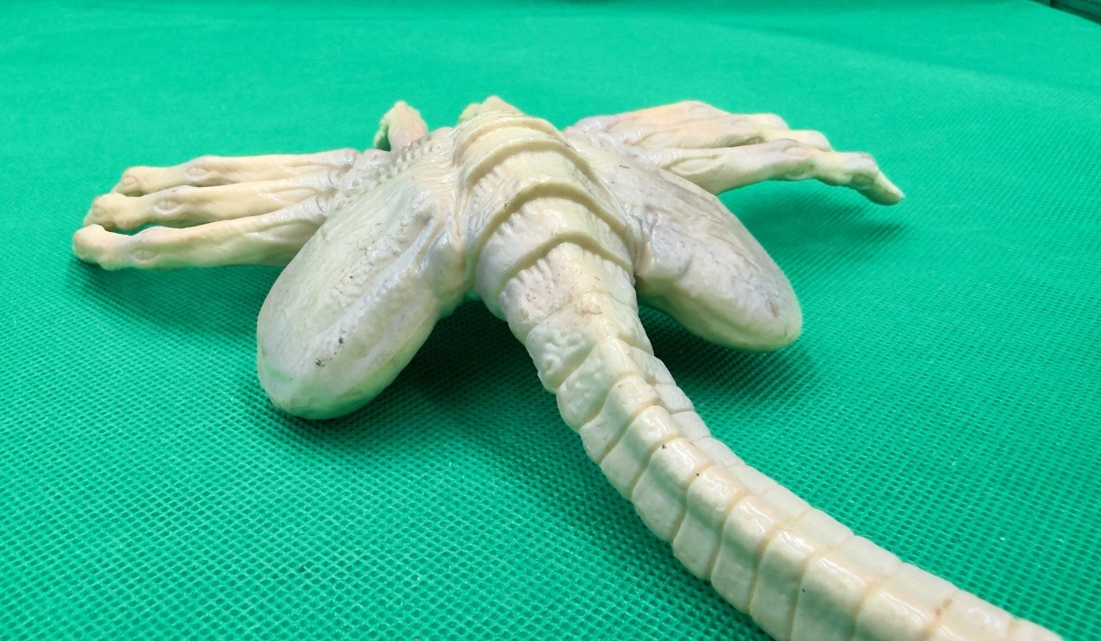 Alien Resurrection Facehugger photo 6