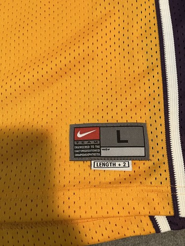 #20 Payton Lakers Nike Swingman Jsy Youth Large 14-16 Worn Once For Photo Shoot - Picture 4 of 4