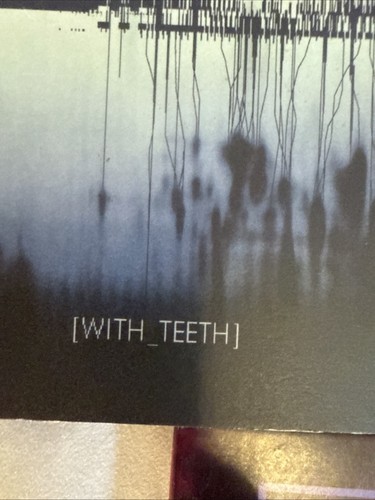 NIN Nine Inch Nails 2 Pack With Teeth & Broken 2CDs + Bonus Single Halo Eleven - Bild 7 von 19