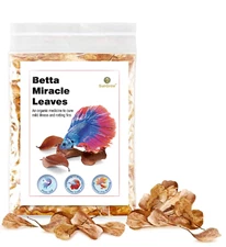 SunGrow 50 pcs Catappa Indian Almond Leaves for Betta Fish Tank Aquarium, 2” Wat