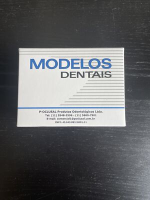 Dental Model Oclusal Upper Jaw (Removable Teeth) Incl 40st Class IV Fracture