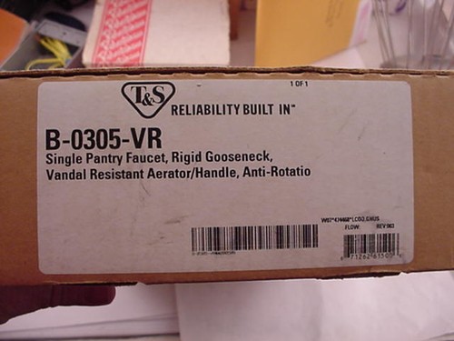 T&S B-0305-VR Rubinetto dispensa singolo, rigido collo d'oca resistente agli atti vandalici stesso giorno - Foto 2 di 3