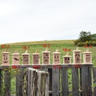 Picture 3 of 4