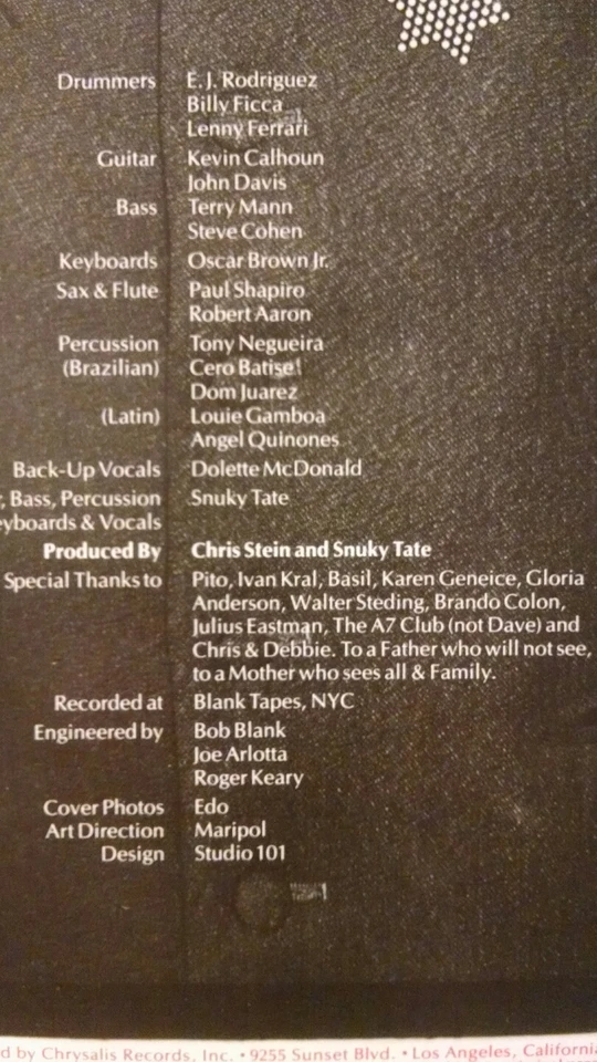 SKUNKY TATE Babylon Under Pressure LP Reggae Soul Funk Chris Stein BLONDIE Foto 3 de 3