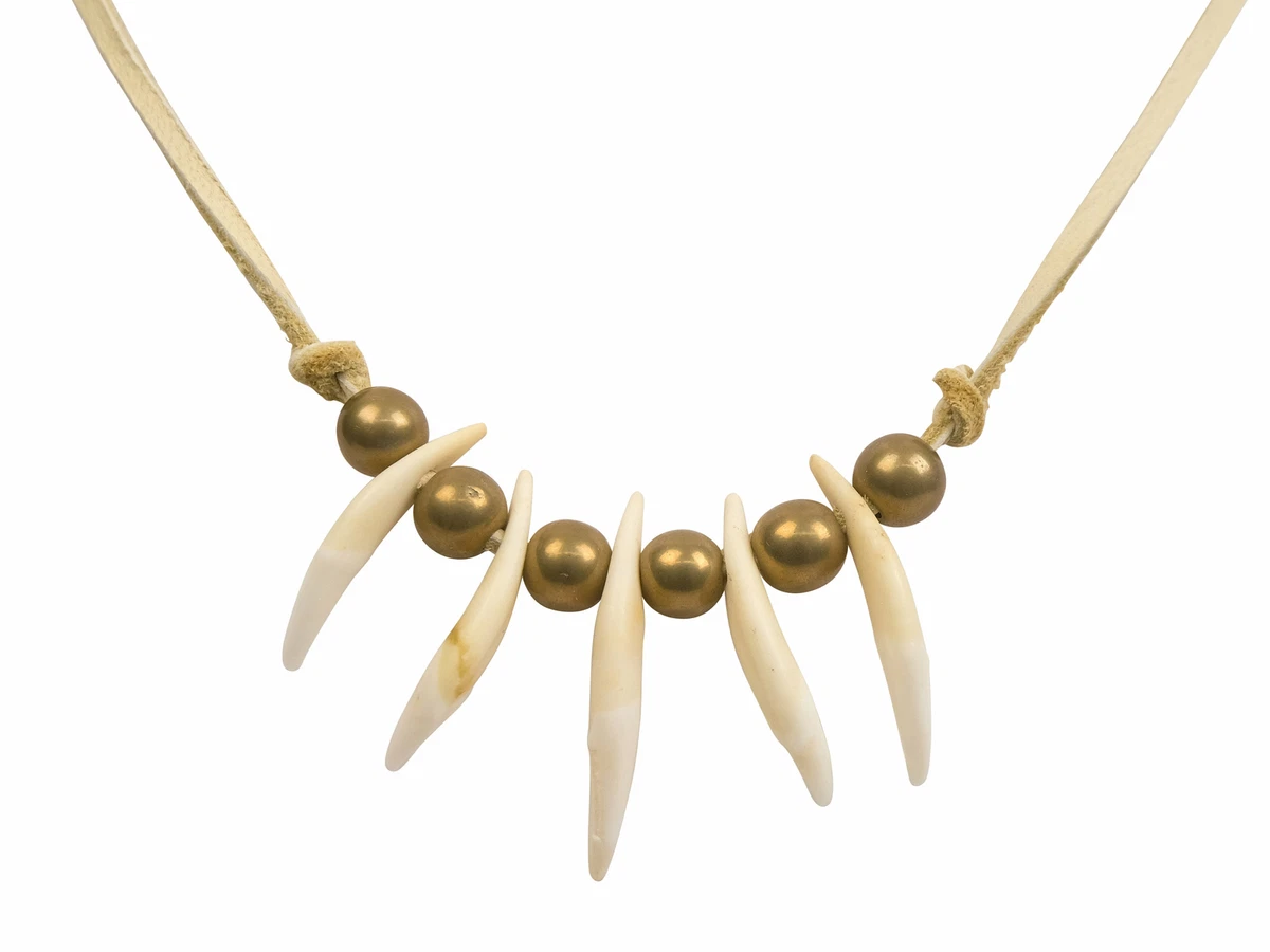 Real Fox Tooth Necklace 5 tooth 560 1005 C2 eBay