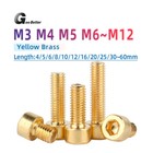 Brass Hex Hexagon Socket Cap Allen Head Screw Bolt M2 M2.5/3 M4 M5 M6 M8 M10 M12